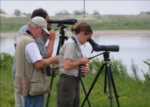 Spotting Scope Buying Guide