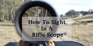 sight in a rifle scope